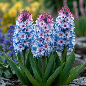 Гиацинт Пинк Мари купить по цене от 2099р. в интернет-магазине «Посадика» с доставкой почтой в в Белоусовое и по всей России – [изображение №1].